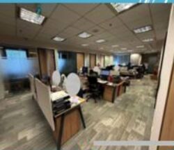 Ngee Ann City (D9), Office #575462291